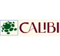 calibi-consulting