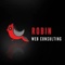 robin-web-consulting