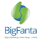 bigfanta-web-design