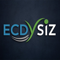 ecdysiz-your-digitals-partner-growth
