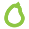 avocado-tree-digital-pte