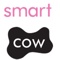 smart-cow-marketing
