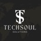 techsoul-solutions