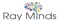 ray-minds-consulting-services-private