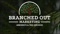 branched-out-marketing