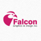 falcon-graphics-design
