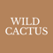 wild-cactus-studio