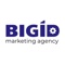 bigid-marketing-agency