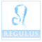 regulus-associates