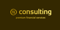 n-consulting-premium-financial-services-single-pc