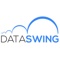 data-swing