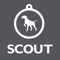 scout-marketing