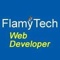 flamytech-web-developer
