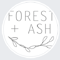 forest-ash-studio