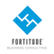 fortitude-business-consulting