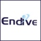 endive-software