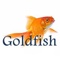 goldfish-medical-staffing