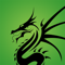 green-dragon-technology