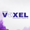 voxel-group