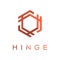 hinge-1
