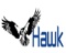 hawk-consultants