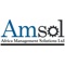 amsol-consultants