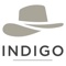 indigo-concept