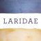 laridae