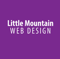little-mountain-web-design