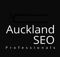 auckland-seo-pro