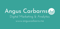 angus-carbarns-digital-marketing-analytics