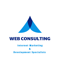 web-consulting-agency