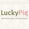 lucky-pig