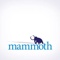 mammoth-agency