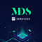 mds-it-services