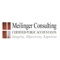 meilinger-consulting-pc