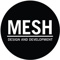 mesh-design-development