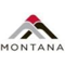 montana-consulting-group