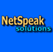netspeak-solutions