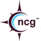 northshore-consulting-group