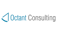 octant-consulting