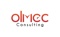 olmec-consulting