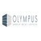 olympus-group-real-estate