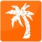 palm-tree-web-design