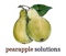 pearapple-solutions