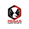 pegas-technology-solutions