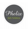 phelix-info-solutions