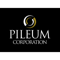 pileum-corporation