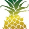 pineapple-tweed-public-relations-marketing