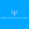 barash-consulting